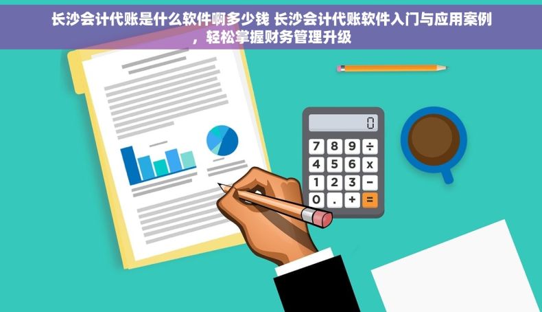 长沙会计代账是什么软件啊多少钱 长沙会计代账软件入门与应用案例，轻松掌握财务管理升级