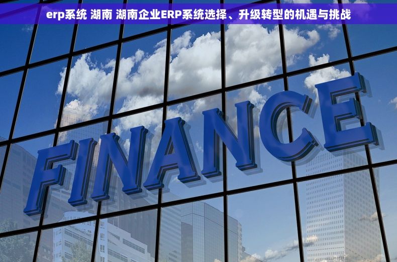 erp系统 湖南 湖南企业ERP系统选择、升级转型的机遇与挑战