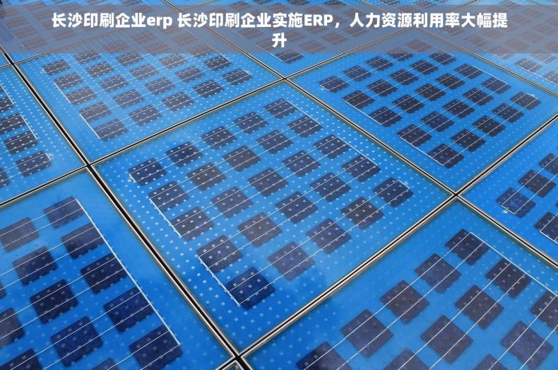 长沙印刷企业erp 长沙印刷企业实施ERP，人力资源利用率大幅提升