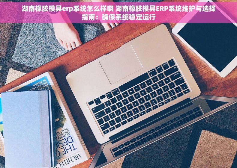 湖南橡胶模具erp系统怎么样啊 湖南橡胶模具ERP系统维护与选择指南：确保系统稳定运行