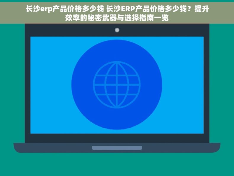 长沙erp产品价格多少钱 长沙ERP产品价格多少钱？提升效率的秘密武器与选择指南一览