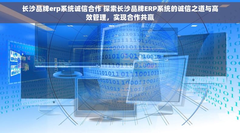 长沙品牌erp系统诚信合作 探索长沙品牌ERP系统的诚信之道与高效管理，实现合作共赢