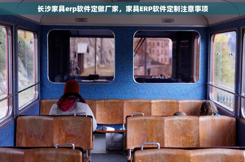 长沙家具erp软件定做厂家，家具ERP软件定制注意事项