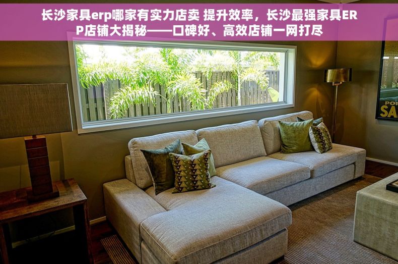 长沙家具erp哪家有实力店卖 提升效率，长沙最强家具ERP店铺大揭秘——口碑好、高效店铺一网打尽