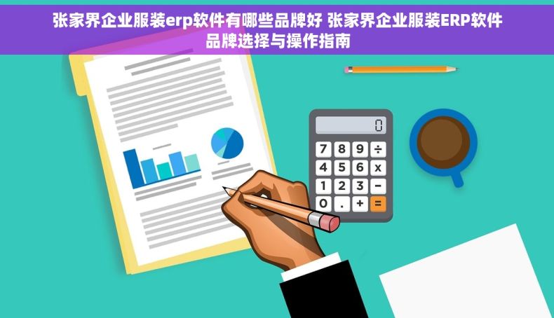 张家界企业服装erp软件有哪些品牌好 张家界企业服装ERP软件品牌选择与操作指南