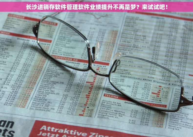 长沙进销存软件管理软件业绩提升不再是梦？来试试吧！