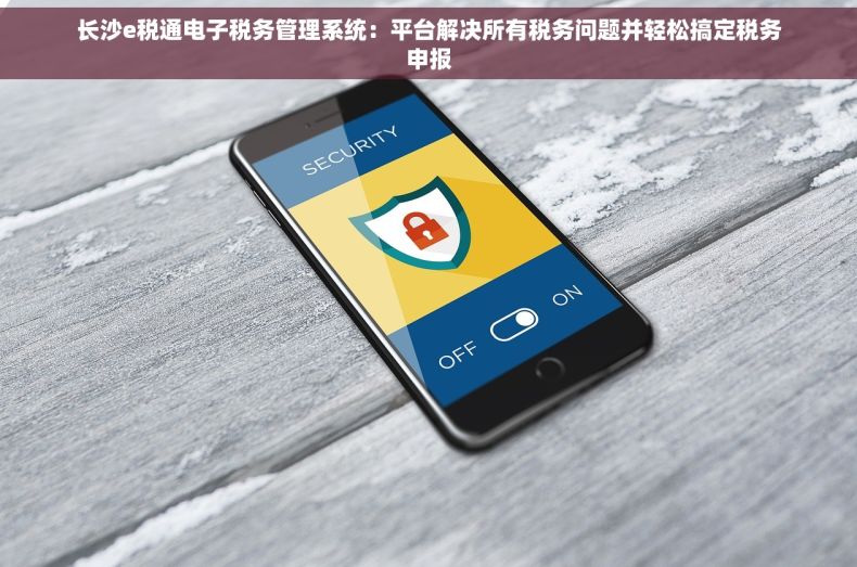 长沙e税通电子税务管理系统：平台解决所有税务问题并轻松搞定税务申报