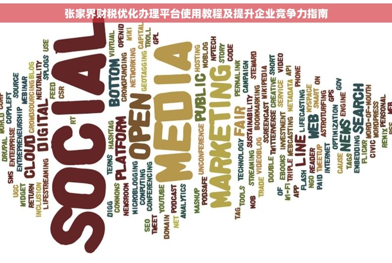 张家界财税优化办理平台使用教程及提升企业竞争力指南