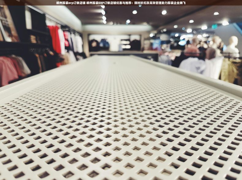 郴州服装erp订做店铺 郴州服装ERP订做店铺优惠与推荐：限时折扣及高效管理助力服装企业腾飞