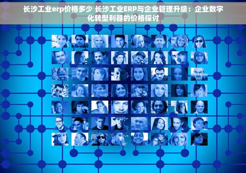 长沙工业erp价格多少 长沙工业ERP与企业管理升级：企业数字化转型利器的价格探讨