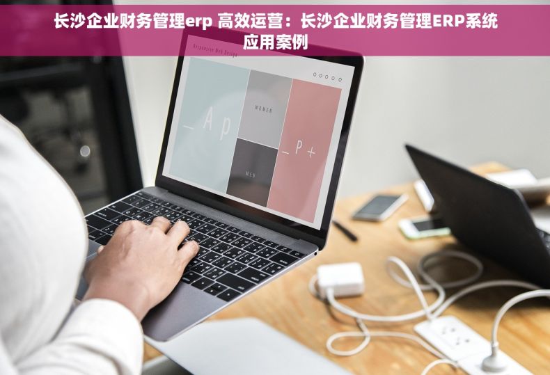 长沙企业财务管理erp 高效运营：长沙企业财务管理ERP系统应用案例