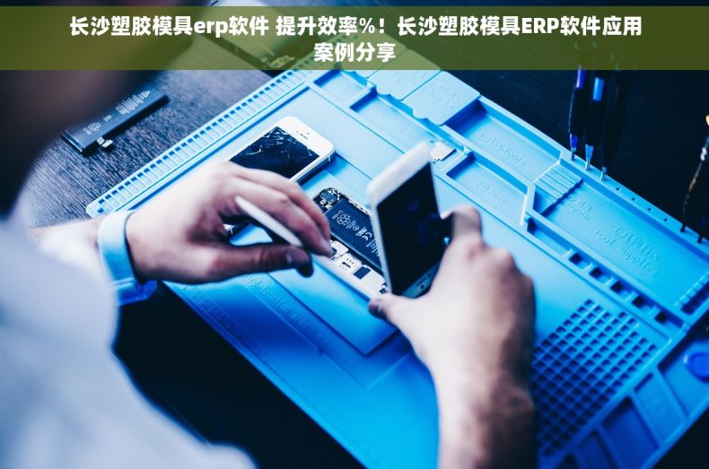 长沙塑胶模具erp软件 提升效率%！长沙塑胶模具ERP软件应用案例分享