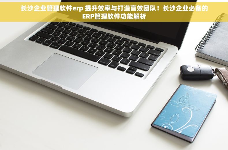 长沙企业管理软件erp 提升效率与打造高效团队！长沙企业必备的ERP管理软件功能解析
