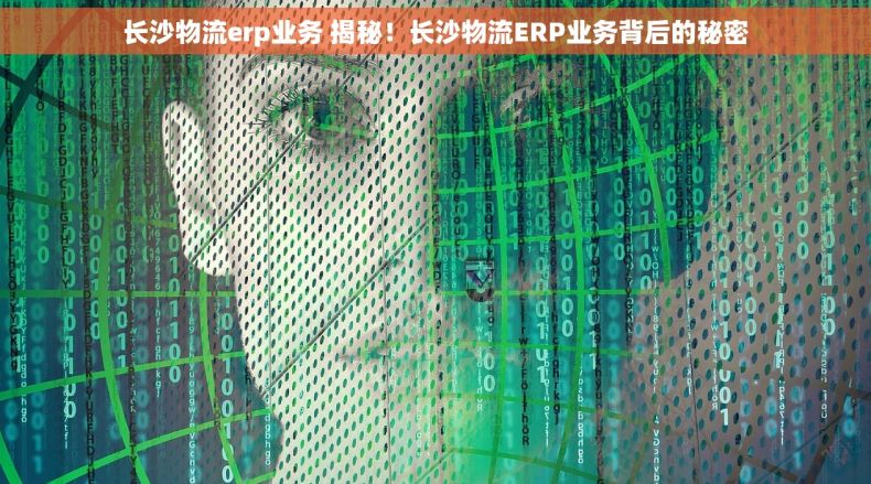 长沙物流erp业务 揭秘！长沙物流ERP业务背后的秘密