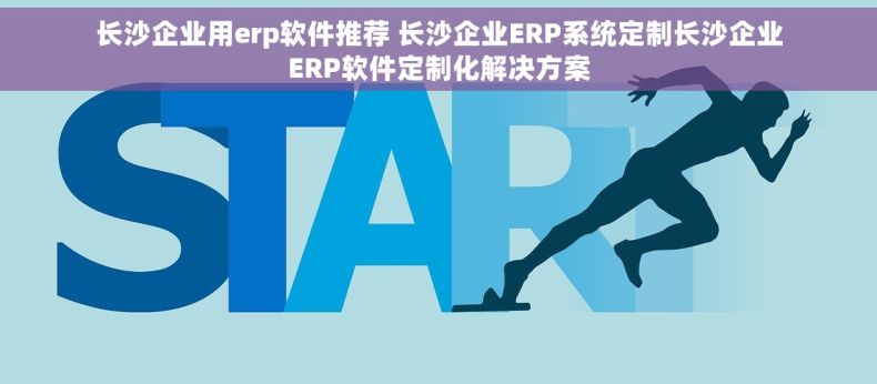 长沙企业用erp软件推荐 长沙企业ERP系统定制长沙企业ERP软件定制化解决方案