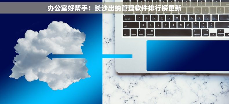 办公室好帮手！长沙出纳管理软件排行榜更新