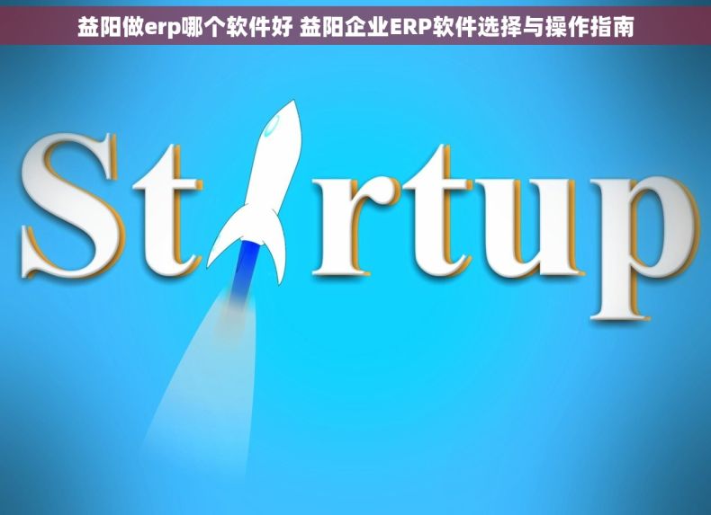 益阳做erp哪个软件好 益阳企业ERP软件选择与操作指南