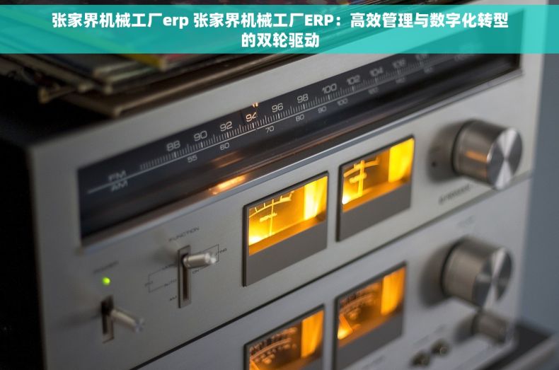 张家界机械工厂erp 张家界机械工厂ERP：高效管理与数字化转型的双轮驱动