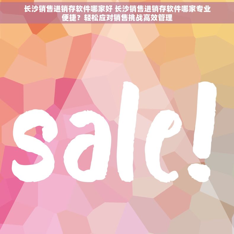 长沙销售进销存软件哪家好 长沙销售进销存软件哪家专业便捷？轻松应对销售挑战高效管理
