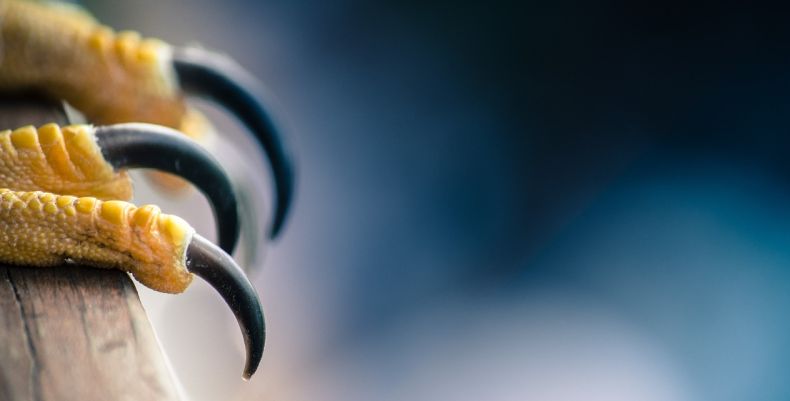 永州房源管理erp：轻松掌握房源动态，省时省力管理更轻松！