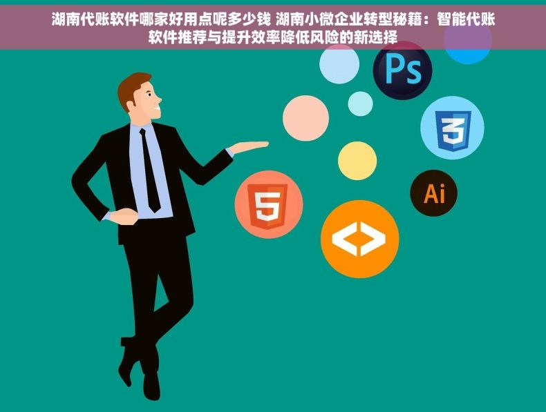 湖南代账软件哪家好用点呢多少钱 湖南小微企业转型秘籍：智能代账软件推荐与提升效率降低风险的新选择