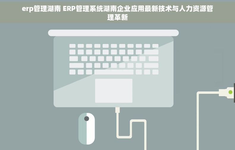 erp管理湖南 ERP管理系统湖南企业应用最新技术与人力资源管理革新