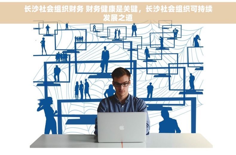 长沙社会组织财务 财务健康是关键，长沙社会组织可持续发展之道