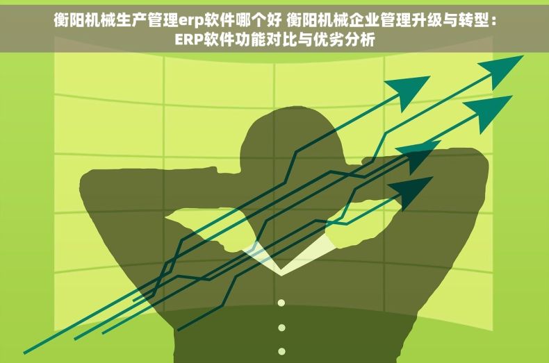 衡阳机械生产管理erp软件哪个好 衡阳机械企业管理升级与转型：ERP软件功能对比与优劣分析