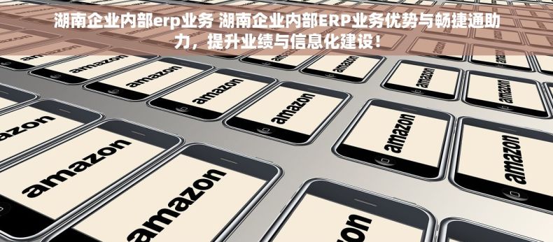 湖南企业内部erp业务 湖南企业内部ERP业务优势与畅捷通助力，提升业绩与信息化建设！