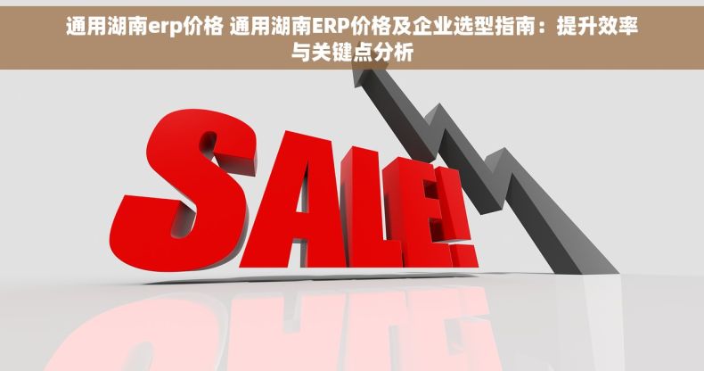 通用湖南erp价格 通用湖南ERP价格及企业选型指南：提升效率与关键点分析