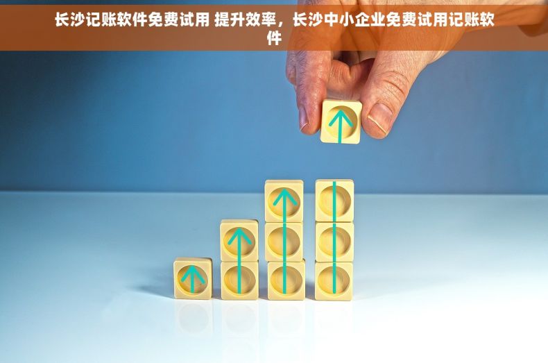 长沙记账软件免费试用 提升效率，长沙中小企业免费试用记账软件