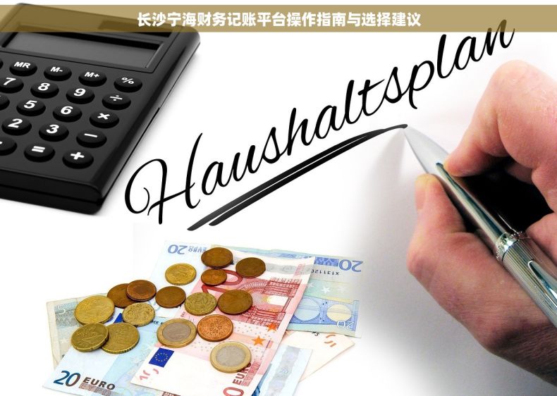 长沙宁海财务记账平台操作指南与选择建议