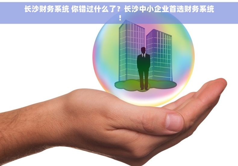 长沙财务系统 你错过什么了？长沙中小企业首选财务系统！