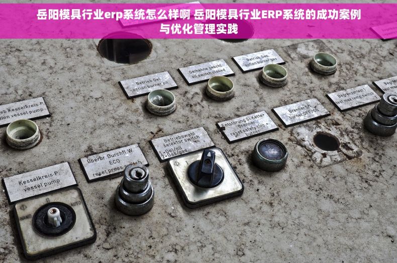 岳阳模具行业erp系统怎么样啊 岳阳模具行业ERP系统的成功案例与优化管理实践