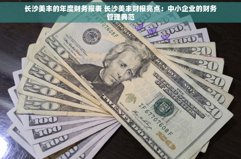 长沙美丰的年度财务报表 长沙美丰财报亮点：中小企业的财务管理典范