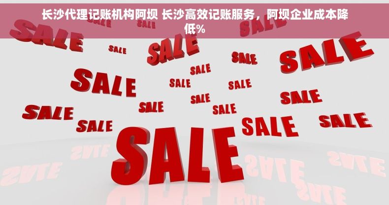 长沙代理记账机构阿坝 长沙高效记账服务，阿坝企业成本降低%