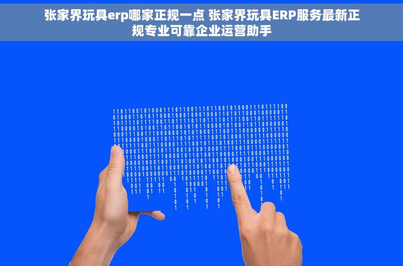 张家界玩具erp哪家正规一点 张家界玩具ERP服务最新正规专业可靠企业运营助手