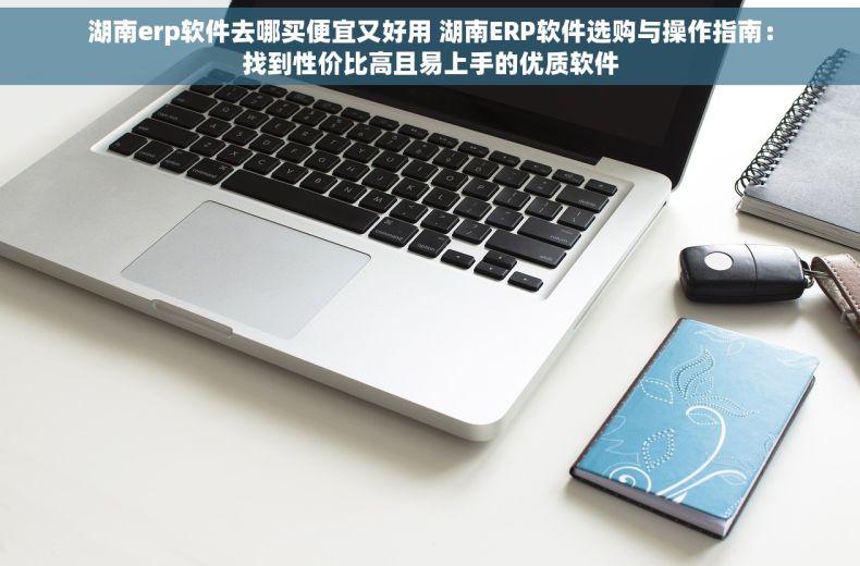 湖南erp软件去哪买便宜又好用 湖南ERP软件选购与操作指南：找到性价比高且易上手的优质软件