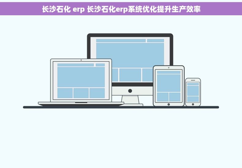 长沙石化 erp 长沙石化erp系统优化提升生产效率