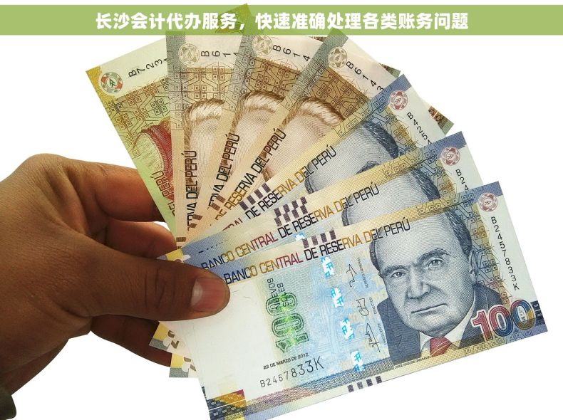 长沙会计代办服务，快速准确处理各类账务问题