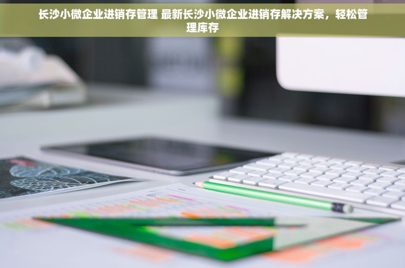长沙小微企业进销存管理 最新长沙小微企业进销存解决方案，轻松管理库存