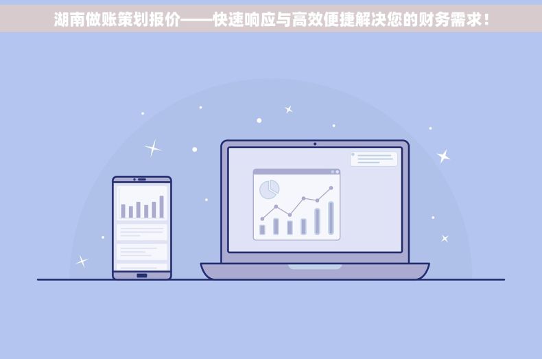 湖南做账策划报价——快速响应与高效便捷解决您的财务需求！