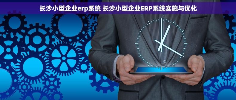 长沙小型企业erp系统 长沙小型企业ERP系统实施与优化
