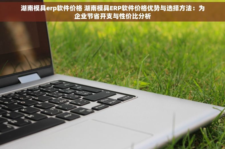 湖南模具erp软件价格 湖南模具ERP软件价格优势与选择方法：为企业节省开支与性价比分析