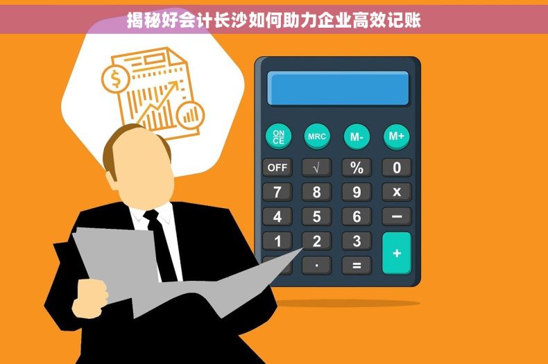 揭秘好会计长沙如何助力企业高效记账