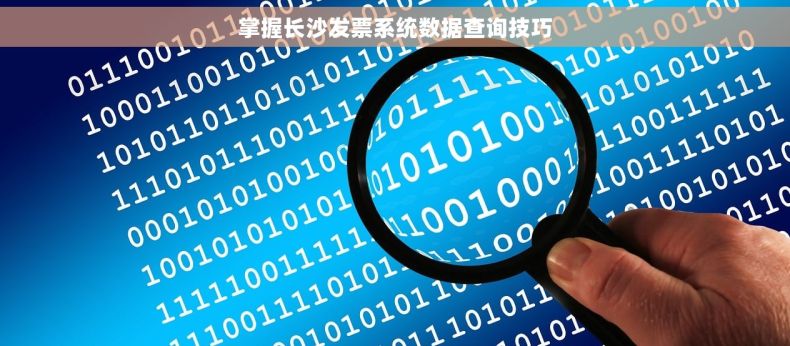 掌握长沙发票系统数据查询技巧