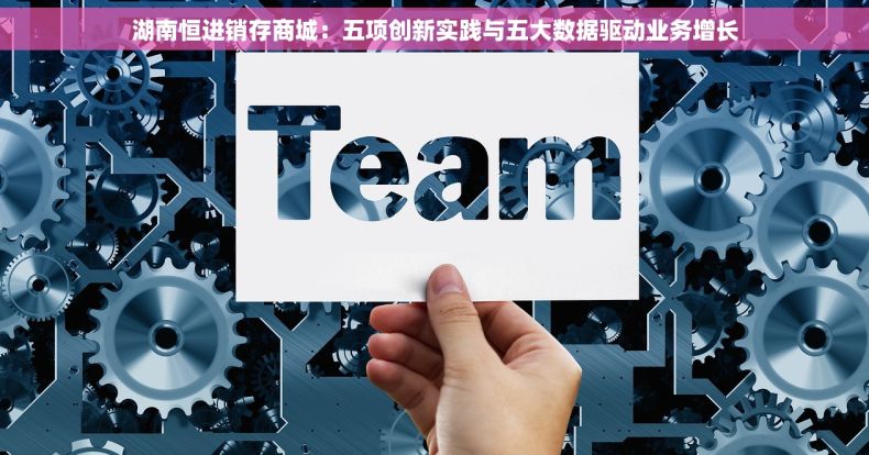 湖南恒进销存商城：五项创新实践与五大数据驱动业务增长