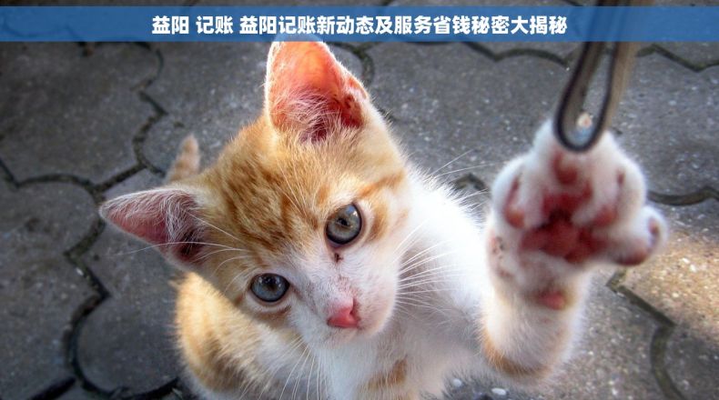益阳 记账 益阳记账新动态及服务省钱秘密大揭秘