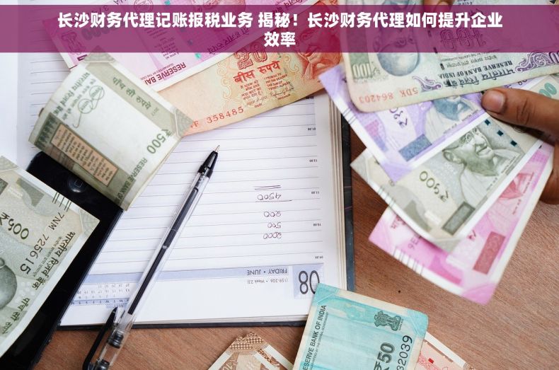 长沙财务代理记账报税业务 揭秘！长沙财务代理如何提升企业效率