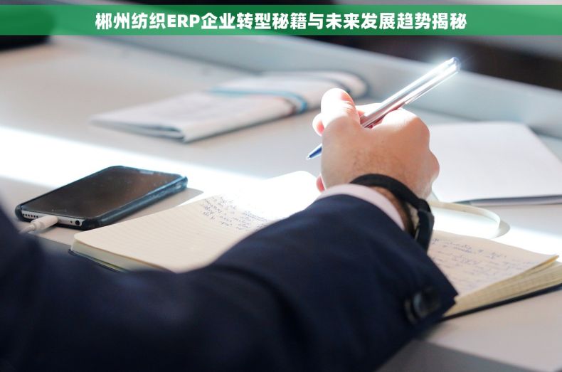 郴州纺织ERP企业转型秘籍与未来发展趋势揭秘